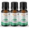 0.5 Fl Oz (Pack of 3)